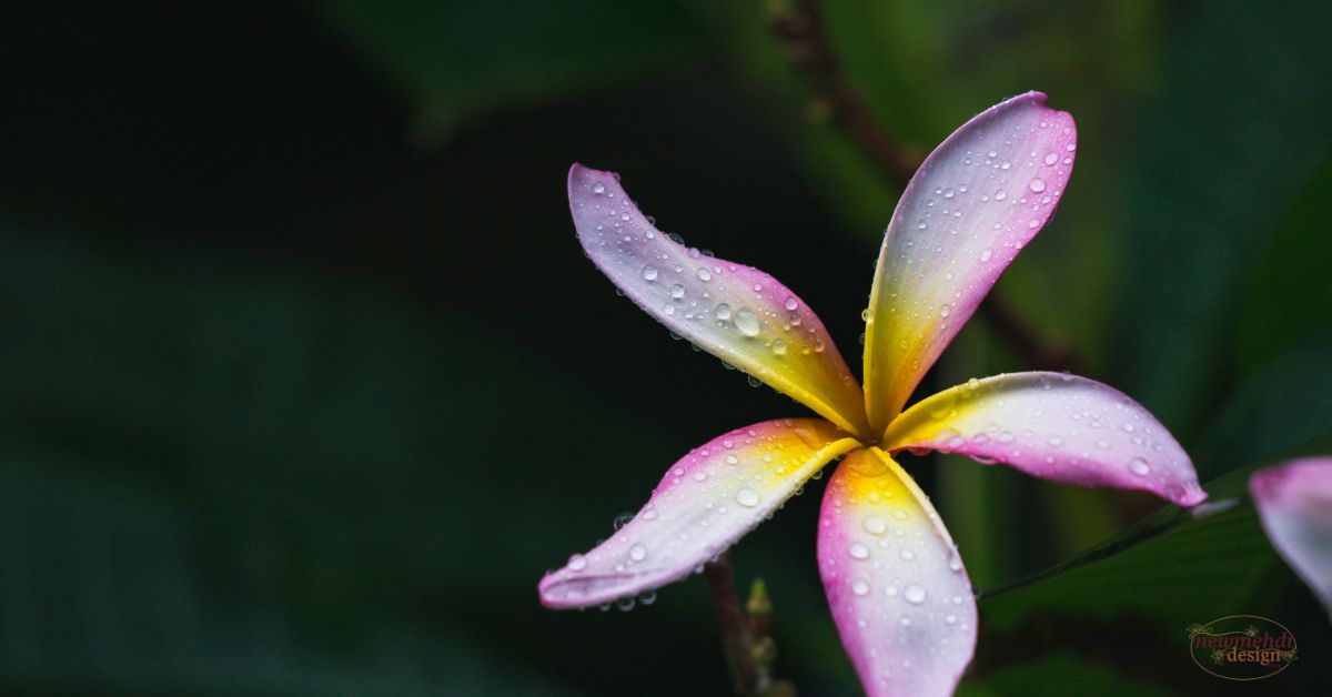 flowers name in sanskrit