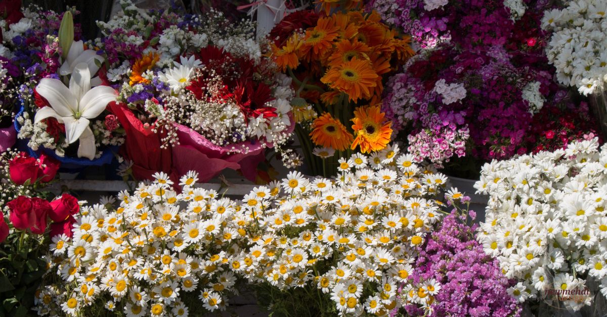 common types of flowers