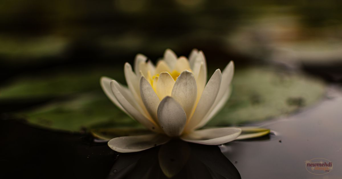 poola jada with real flowers