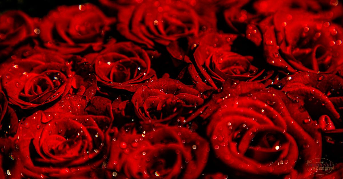 types of red flowers