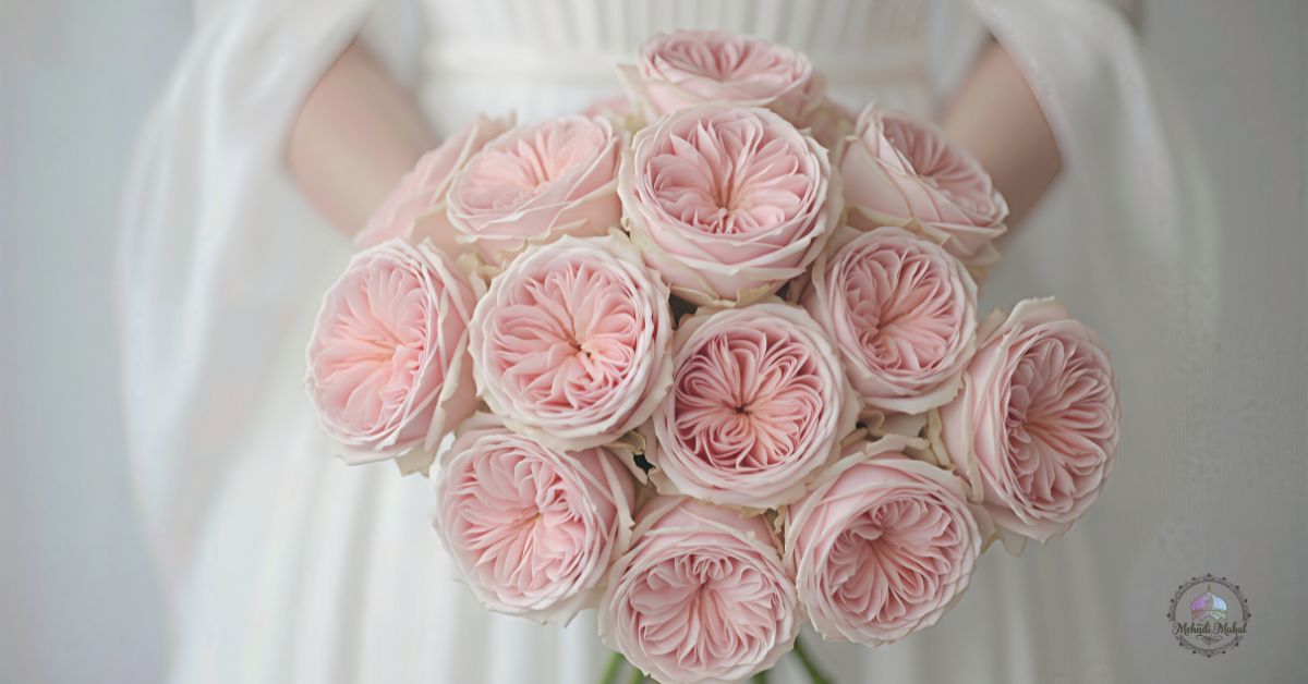 all summer blooming perennial flowers