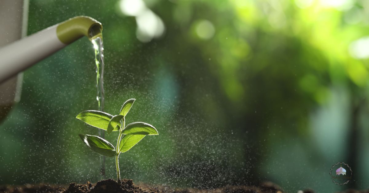 shade loving perennial flowers