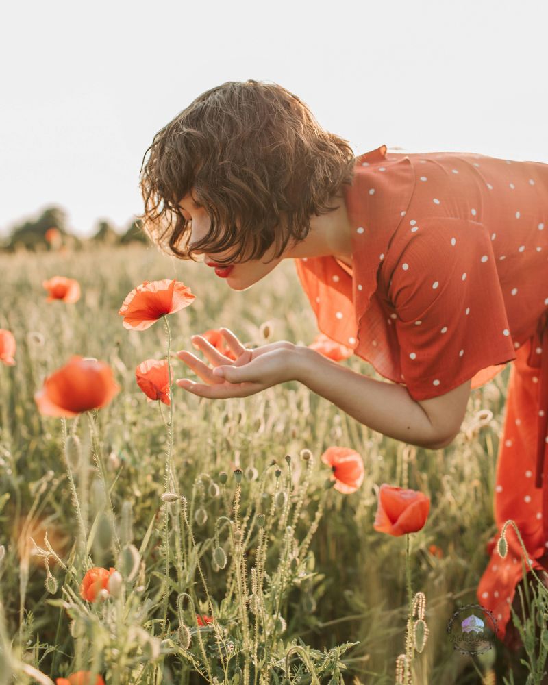 shade flowers and shrubs