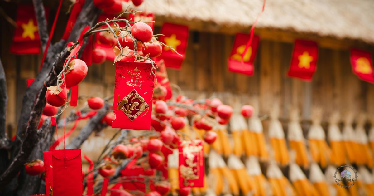 gem box inkberry holly